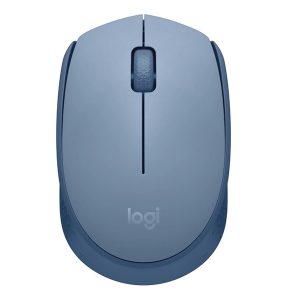 Logitech M170