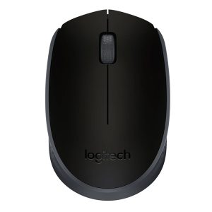 Logitech M171